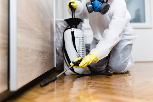  High Point, FL Pest Control Pros