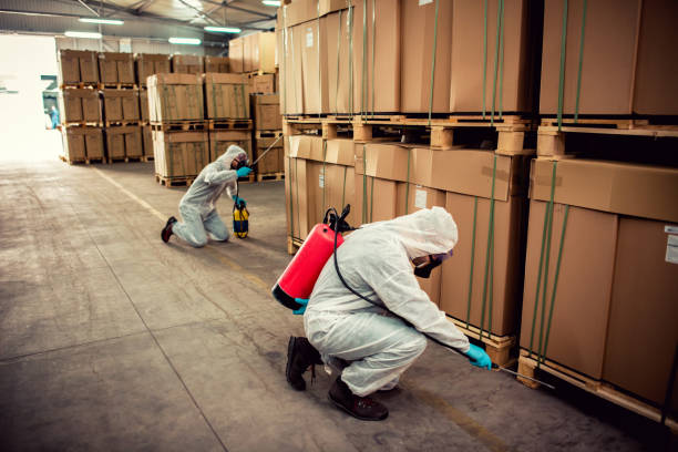 Best Commercial Pest Control Services  in High Point, FL