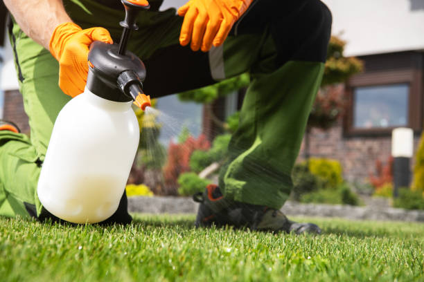Best Residential Pest Control  in High Point, FL