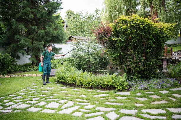 Best Affordable Pest Control Services  in High Point, FL