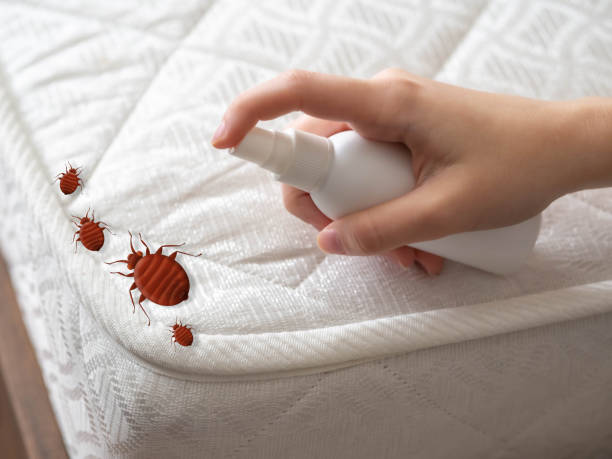 Best Best Pest Control Companies  in High Point, FL